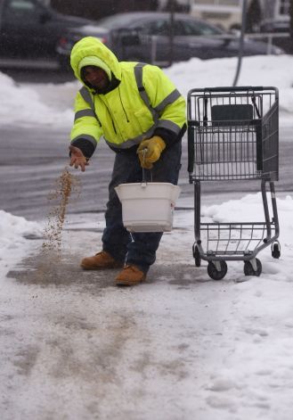 Lawn cleanup service example